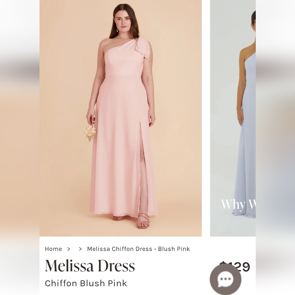 Birdy Grey Melissa Chiffon In Color Pale Blush